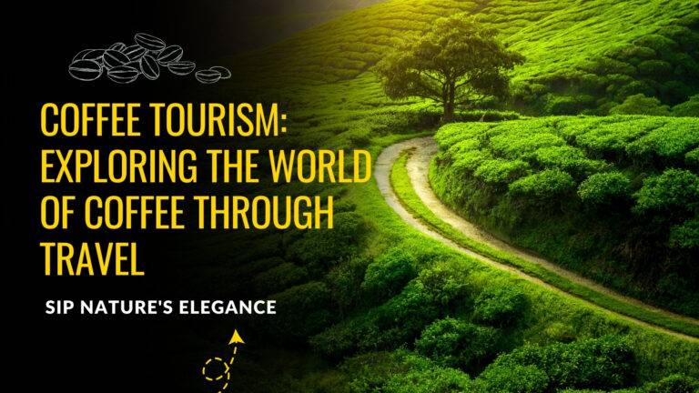 Coffee Tourism: Exploring the World of Coffee through Travel