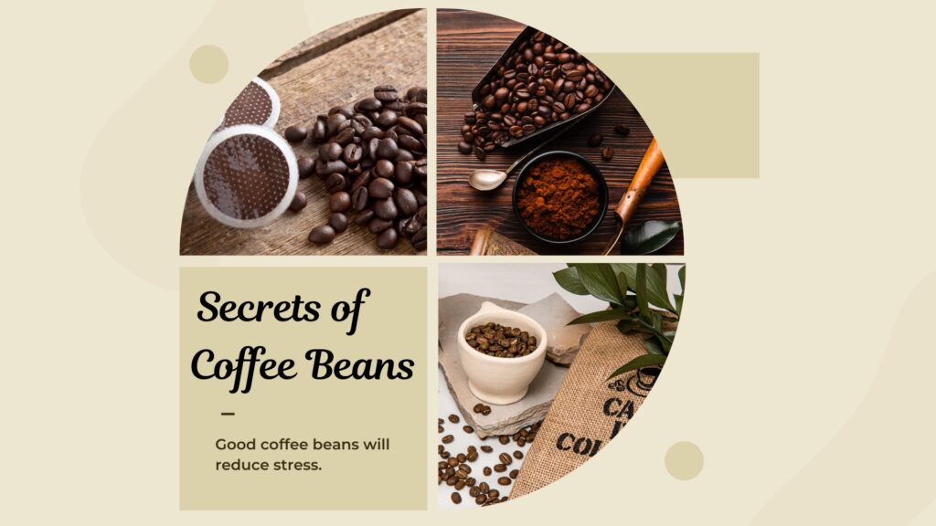 Unlocking-the-Secrets-of-Coffee-Beans-A-Complete-Guide